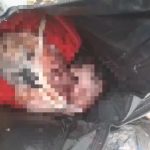 VÍDEO: Recém-nascida é encontrada dentro de bolsa com placenta em lixão no AM
