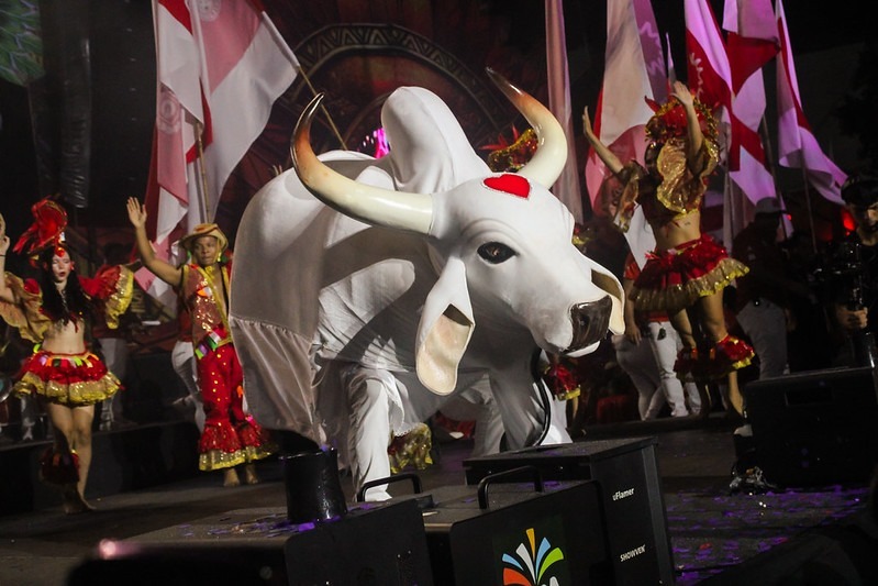 Apresentação do Curral do Garantido no Sambódromo de Manaus com itens oficiais do boi vermelho