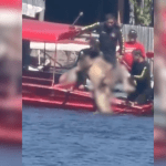 VÍDEO: Homem é devorado por piranhas após se afogar em rio do Amazonas