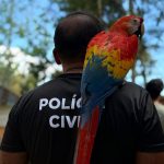 Exploração de animais em passeios turísticos no AM provoca estresse e riscos à fauna, diz biólogo