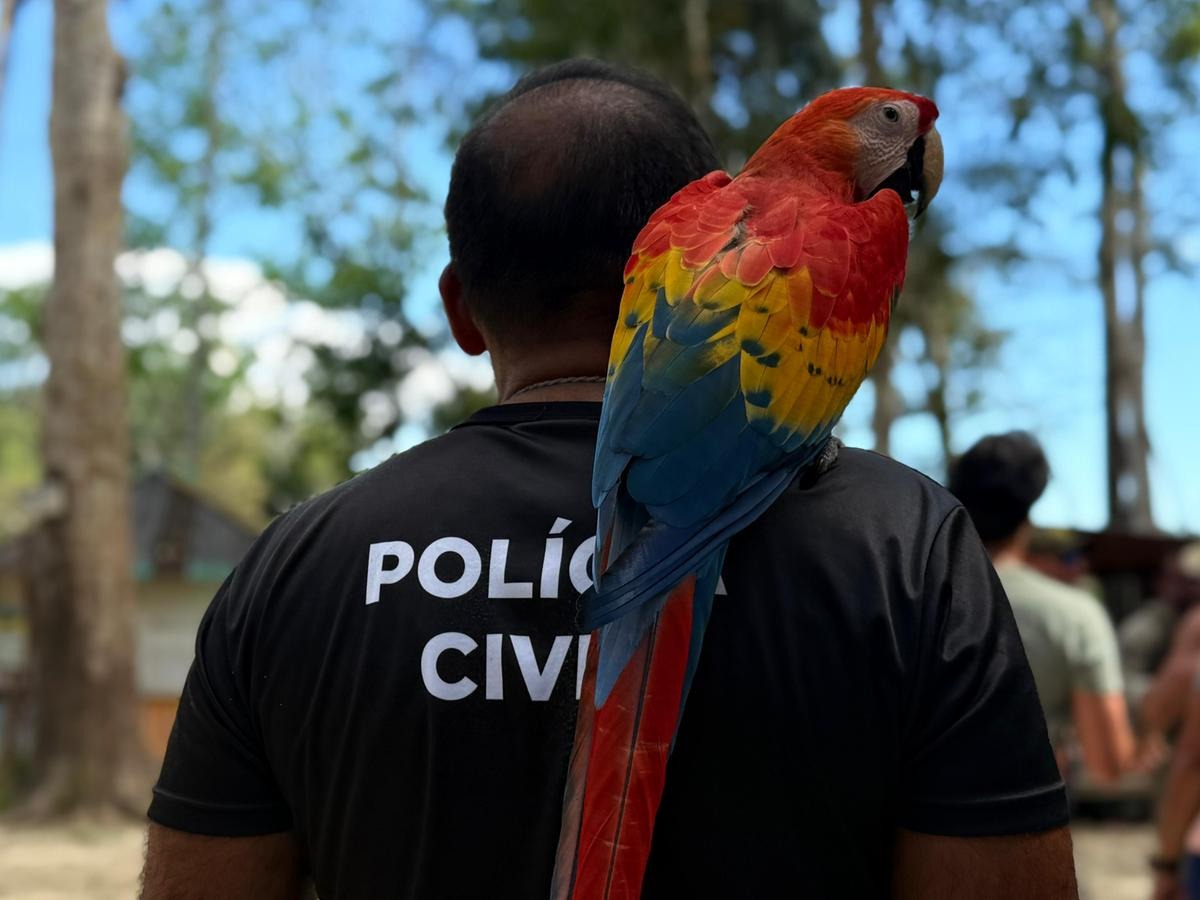 Exploração de animais em passeios turísticos no AM provoca estresse e riscos à fauna, diz biólogo