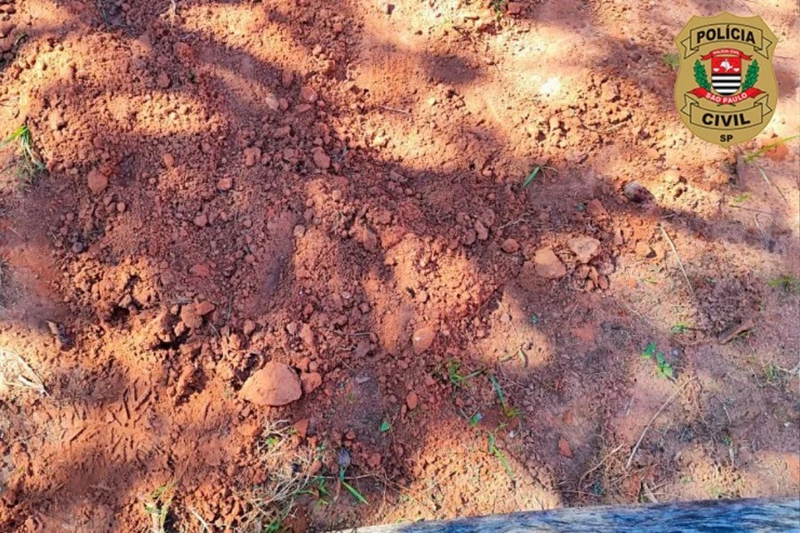 Casal é preso após enterrar e queimar recém-nascido