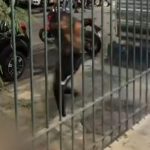 VÍDEO: Torcedores do Vasco são espancados após jogo contra Flamengo no Maracanã