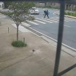 VÍDEO: Irmãos de 9 e 15 anos são atropelados enquanto atravessavam faixa de pedestres