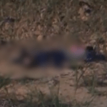 VÍDEO: Família recebe ligação anônima e encontra homem morto na BR-174