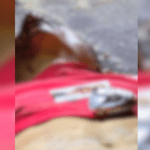 Homem é encontrado morto com cabeça esmagada a pedradas em Manaus