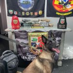 Mulher é presa com mala recheada de maconha em embarcação no AM