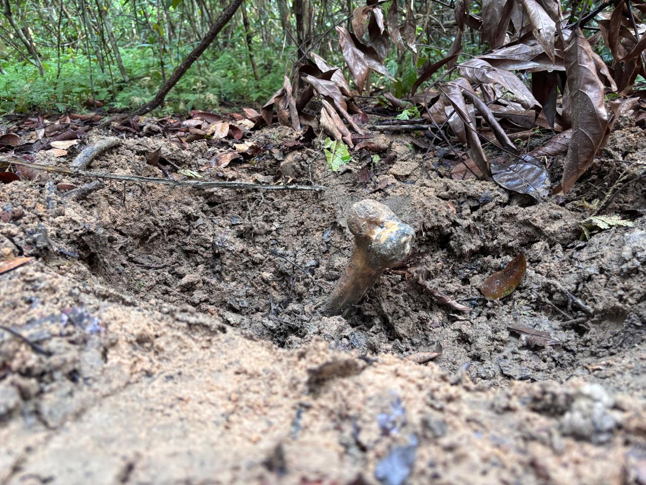 Ossada humana é encontrada enterrada em ramal de Iranduba e pode ser de jovem desaparecido