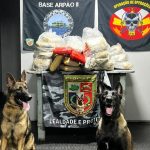 Base Arpão apreende 91 quilos de drogas no rio Solimões