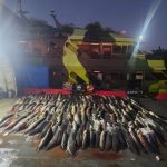 Mais de 26 toneladas de pescado ilegal apreendidas no Amazonas são doadas para comunidades ribeirinhas