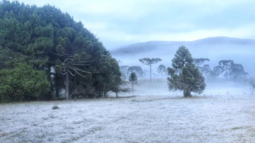 frio - sul - 2026