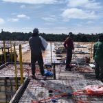 Caroço de tucumã vira bioplástico para a construção civil no Amazonas
