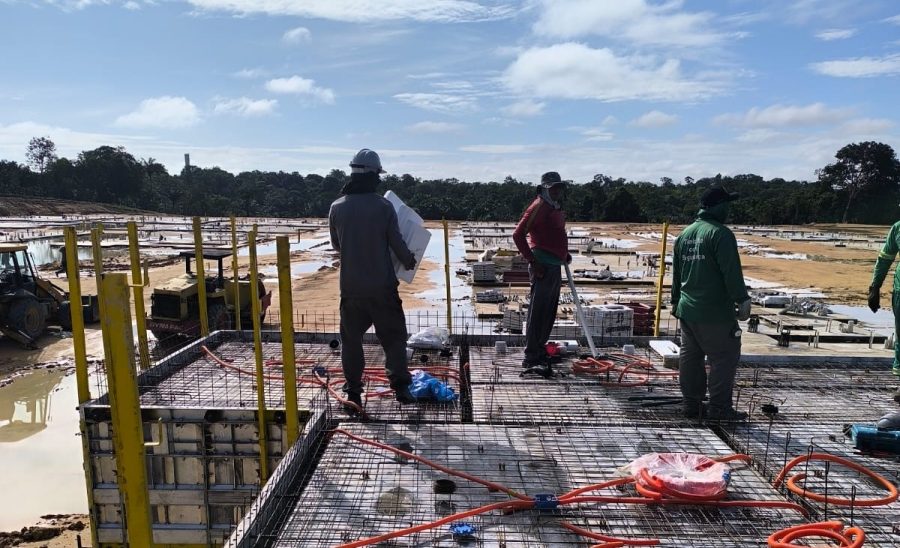 Caroço de tucumã vira bioplástico para a construção civil no Amazonas