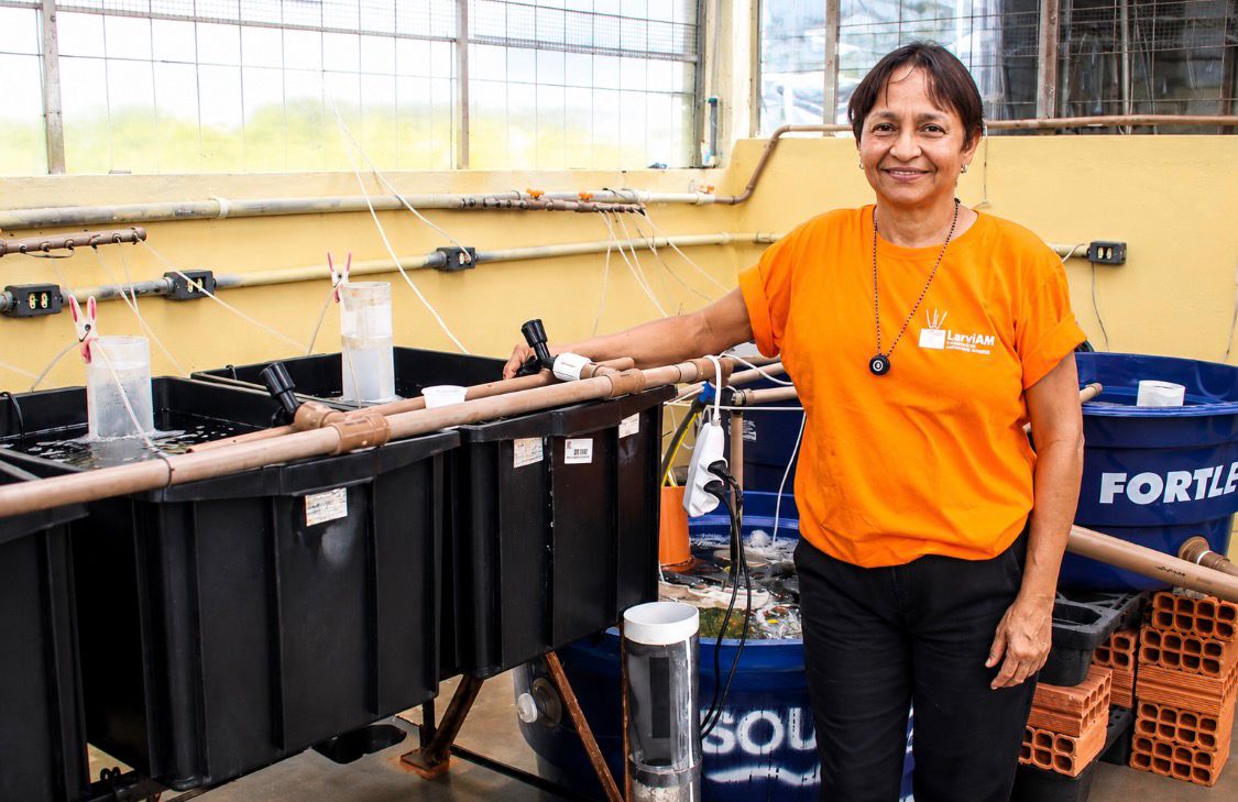 Do laboratório ao mercado: produção de camarão amazônico abre nova fronteira da bioeconomia