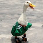 Pato mascote da Copa ganha convite para ver jogo do México