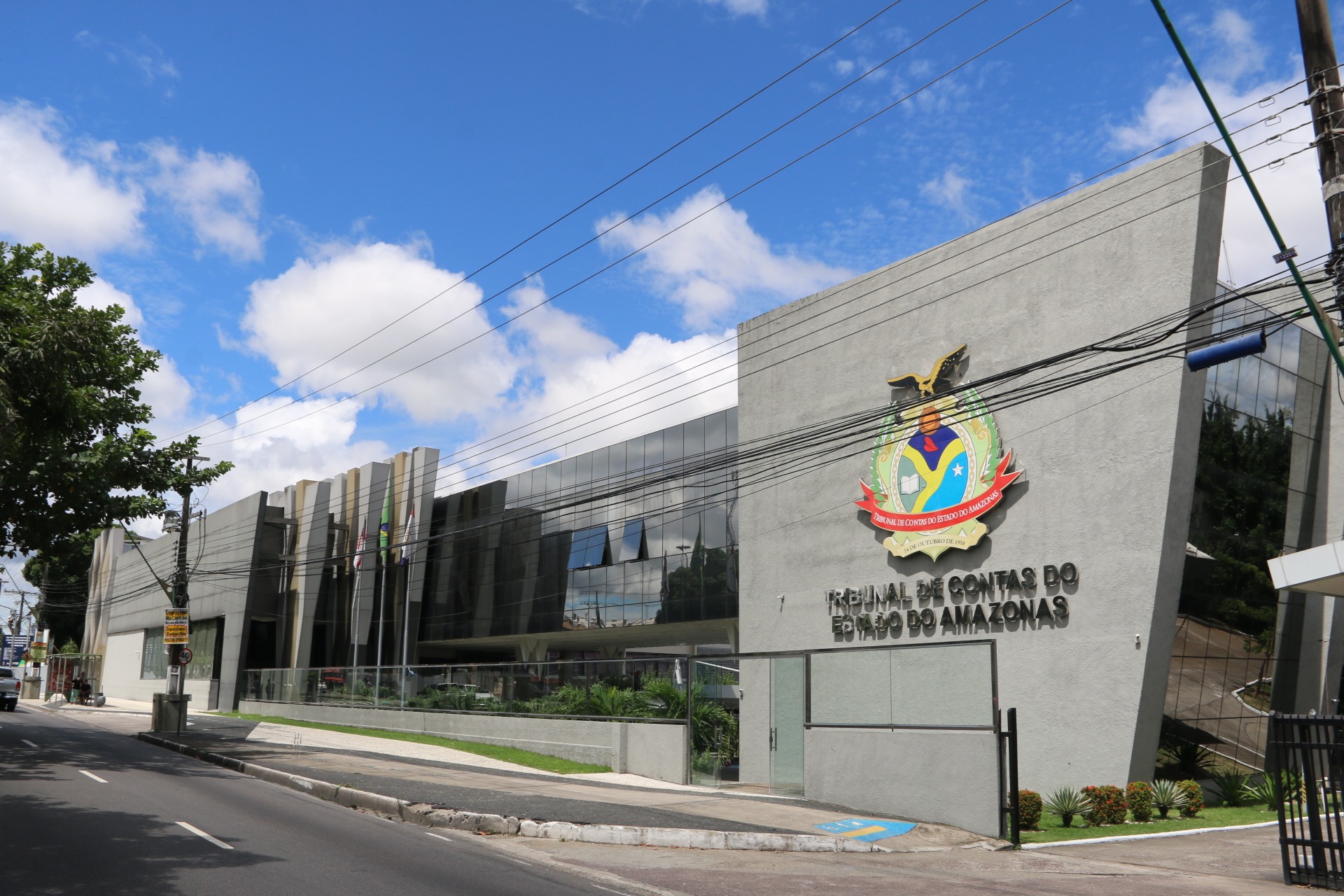 Tribunal de Contas e a fruta do buritizeiro