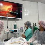 Videolaparoscopia veterinária chega a Manaus e reduz tempo de recuperação de animais