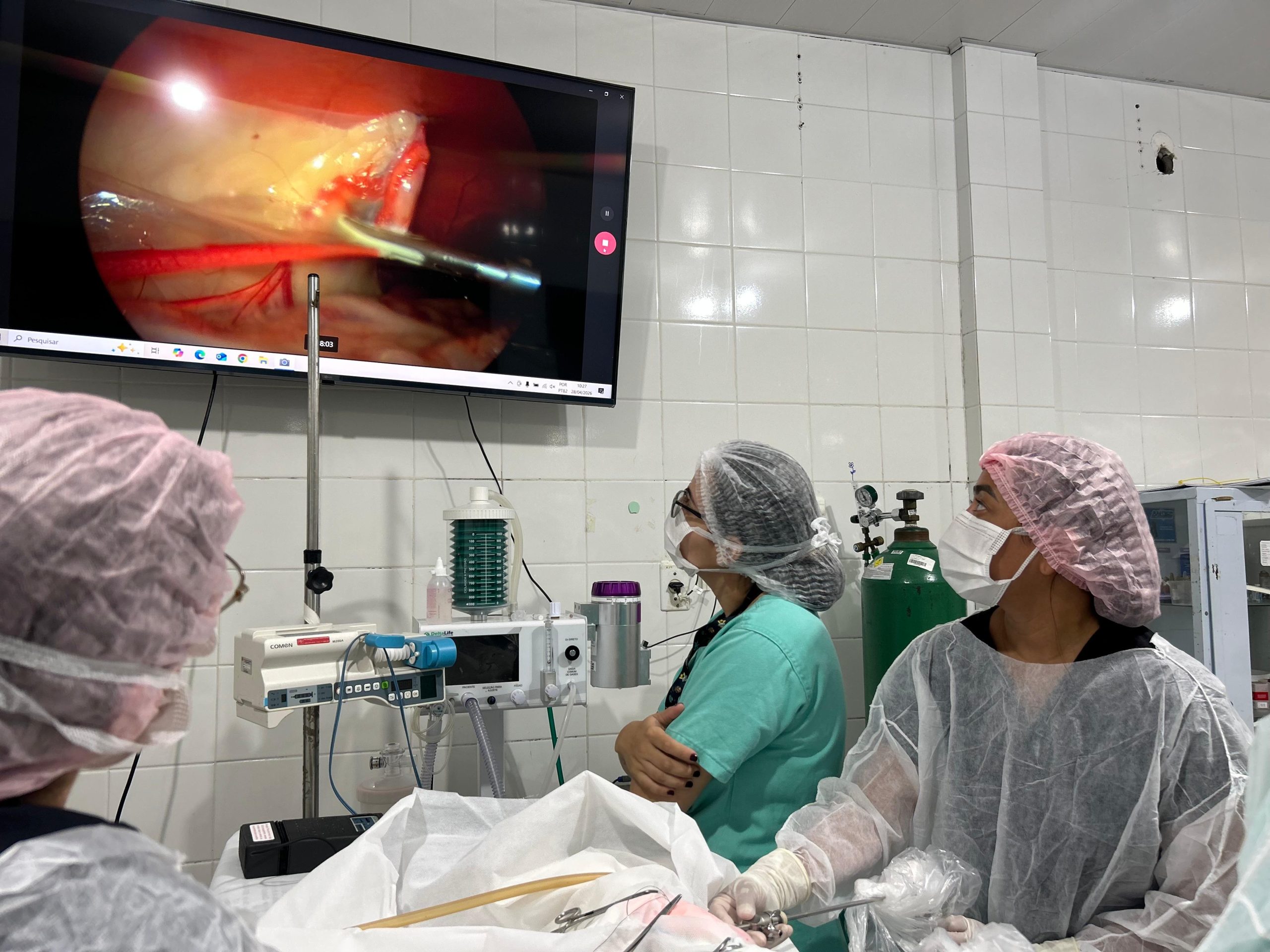 Videolaparoscopia veterinária chega a Manaus e reduz tempo de recuperação de animais