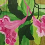 Jandr Reis leva o ‘Orquidário Amazônico’ à Casa Parintins