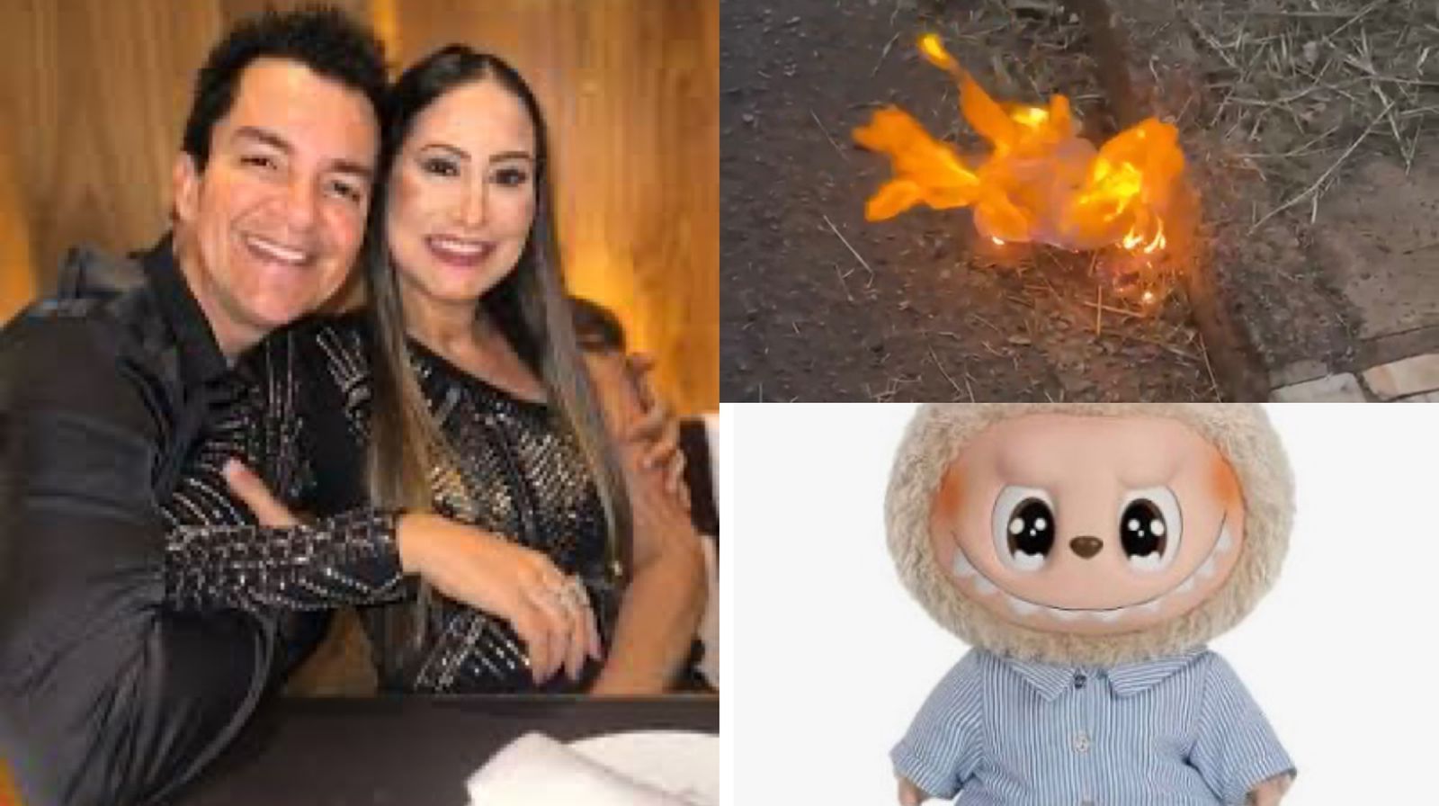 VÍDEO: Esposa de Regis Danese queima Labubu após casa pegar fogo
