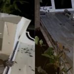 VÍDEO: ‘Ambulancha’ do Samu furtada em Manaus é encontrada depenada em igapó no interior do AM