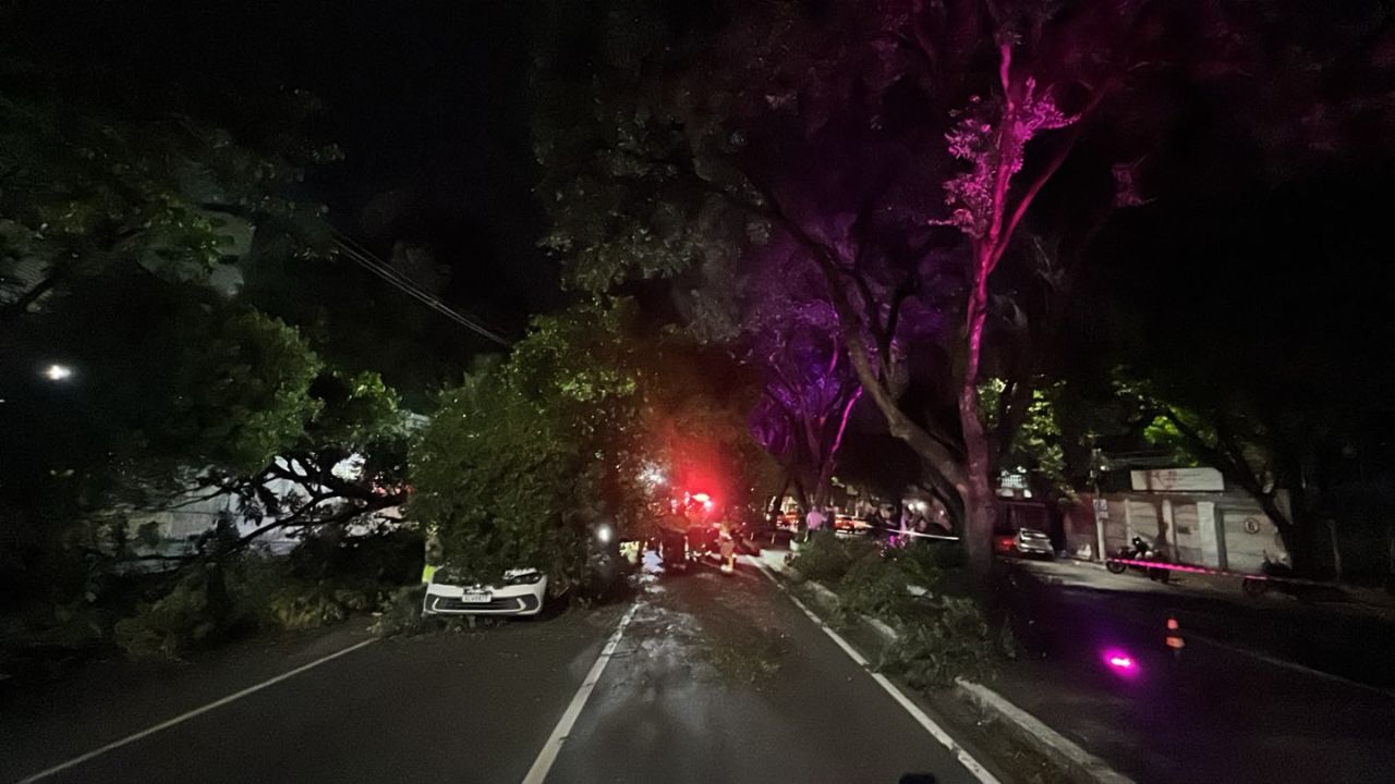 VÍDEO: Árvore cai sobre carros e interdita trecho da avenida Getúlio Vargas em Manaus