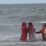 VÍDEO: Banhista é preso após entrar no mar mesmo com alerta de tubarão