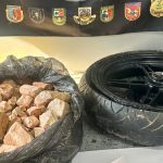 Cão farejador encontra droga escondida em pneus de moto dentro de embarcação no AM