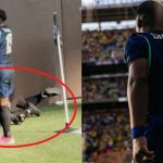 Endrick posta foto de fotógrafo que viralizou após tombo em comemoração de gol; VEJA