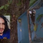 Jacaré pode ter devorado cabeça de homem decapitado em Manaus; saiba detalhes