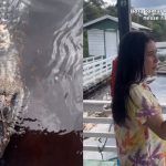 Influenciadora flagra jacaré gigante durante passeio no Rio Negro: ‘bora tomar banho?’