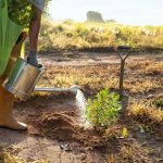 União Brasil destaca investimentos ambientais no Amazonas no Dia do Meio Ambiente