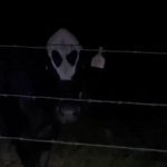 ‘Vaca alienígena’ causa espanto em zona rural; veja vídeo