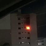 VÍDEO: Cachorro morre em incêndio que destruiu apartamento em condomínio de Manaus