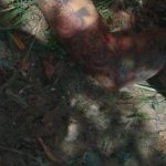 Homem tem rosto desfigurado por tiros e polícia investiga ligação com outro homicídio em Manaus