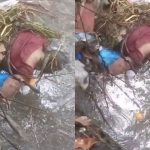 VÍDEO: Mulher é encontrada morta com corda e pesos presos ao corpo em igarapé de Manaus