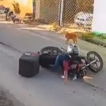 VÍDEO: Águas de Manaus é multada em R$ 279 mil após motociclista cair em buraco