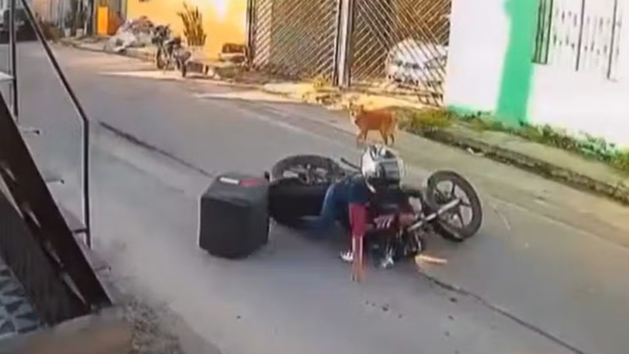 VÍDEO: Águas de Manaus é multada em R$ 279 mil após motociclista cair em buraco