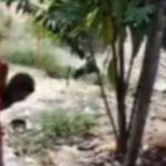 VÍDEO: Criança de 6 anos morre após pai tentar dar “lapada” com terçado no interior do AM