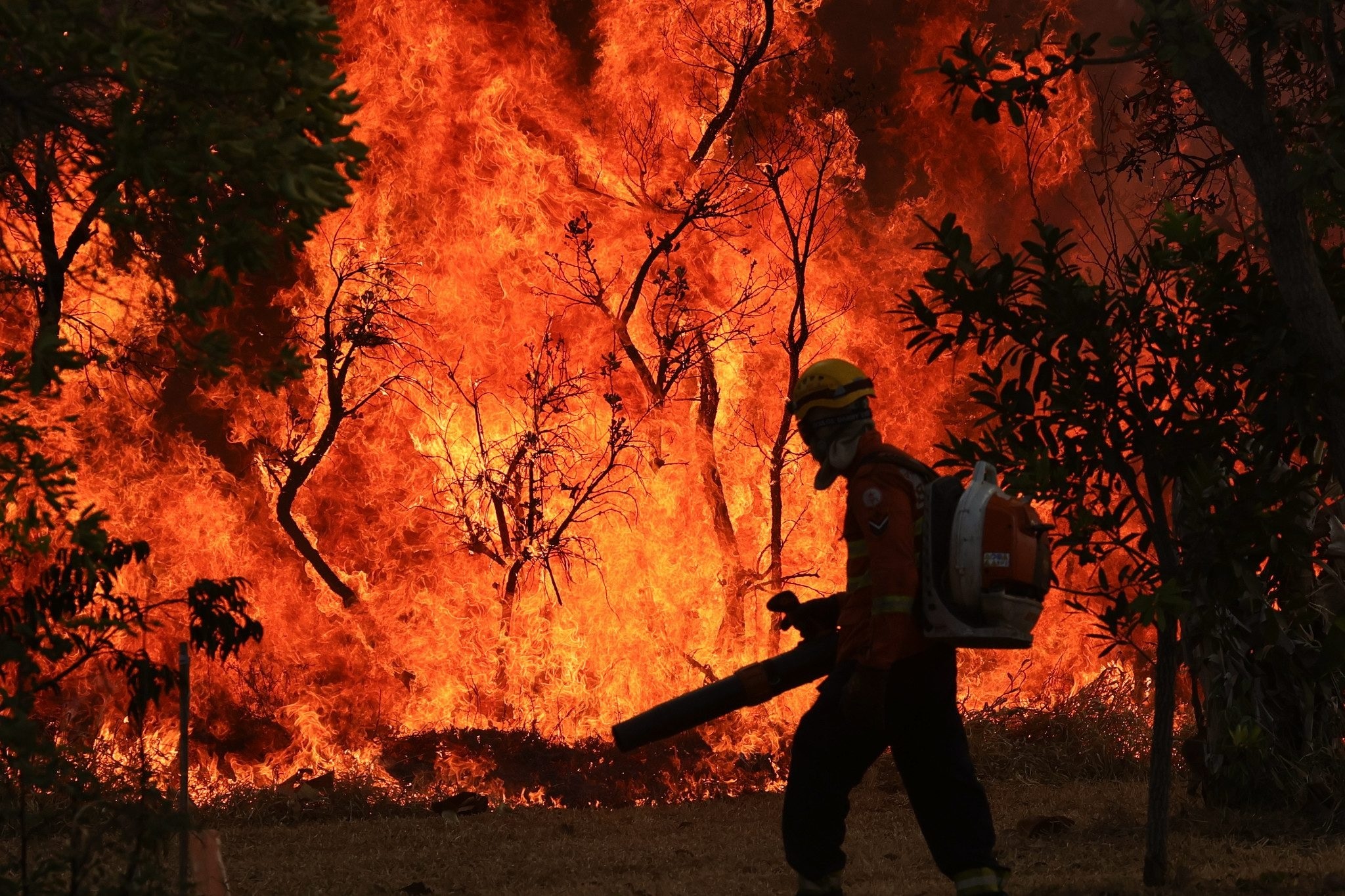 Agência da ONU prevê fortalecimento do El Niño e alerta para eventos extremos