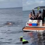 Vídeo mostra resgate do corpo de Ruan por banhistas na Praia da Lua enquanto grupo que estava com ele fica na lancha