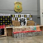 VÍDEO: Denarc apreende 700 kg de skunk em galpão na Cidade Nova; droga iria para o RJ