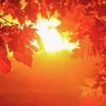 Manaus ferve e bate novo recorde de calor em 2026 com 37,3°C