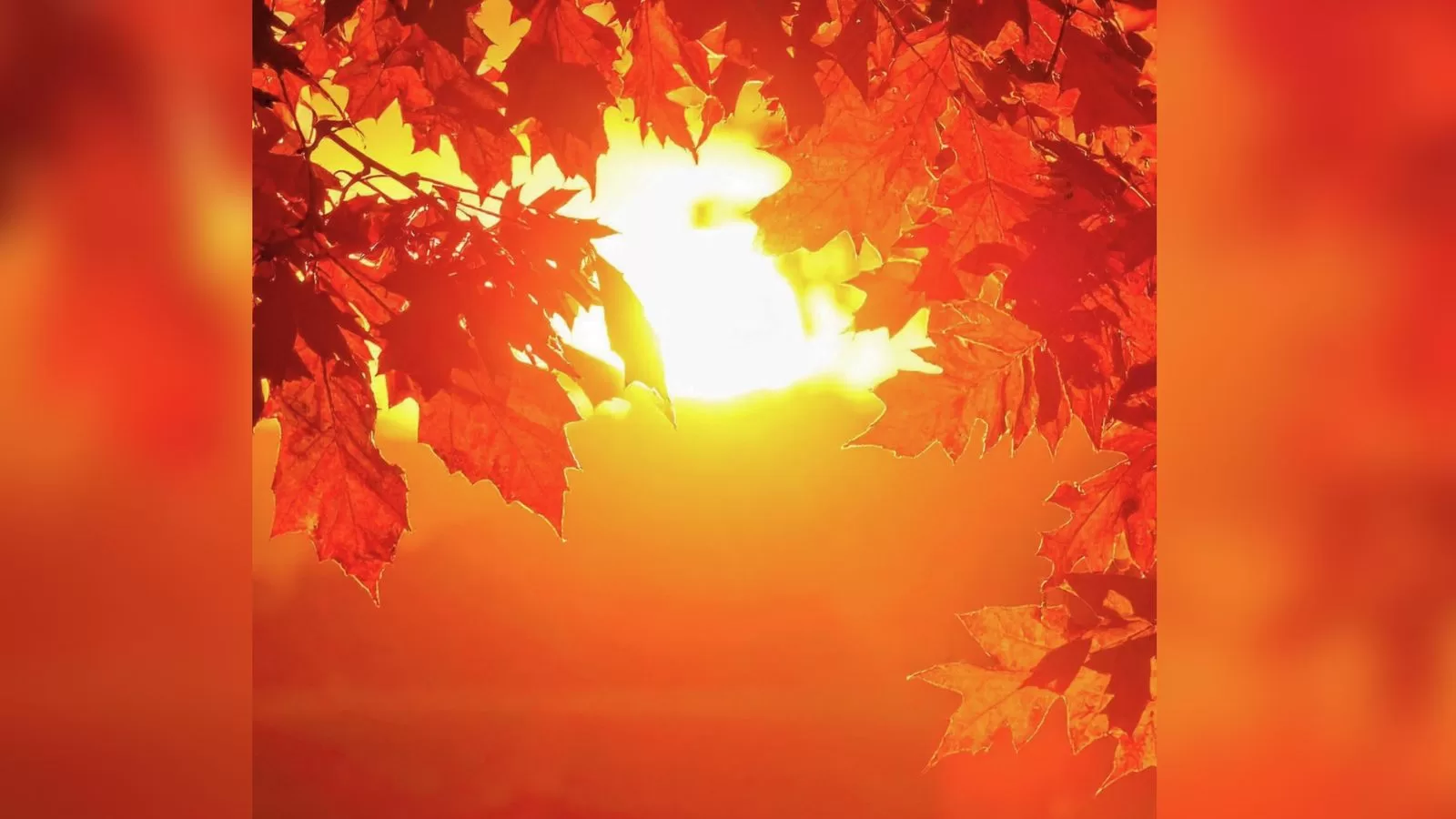 Manaus ferve e bate novo recorde de calor em 2026 com 37,3°C
