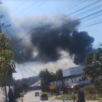 VÍDEO: Incêndio atinge ferro-velho e área de mata e espalha fumaça preta em Manaus