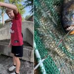 Menino de 8 anos pesca piranha em lago nos EUA e gera alerta das autoridades