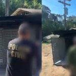 VÍDEO: Idoso é preso após estuprar cadela na BR-174, em Manaus