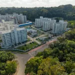 Dia da Amazônia: quando planejar a cidade também é cuidar da floresta