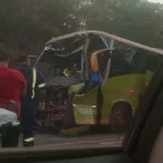 VÍDEO: Motorista fica preso às ferragens após colisão entre ônibus e carreta na BR-174