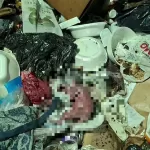 Garis encontram feto durante coleta de lixo no Centro de Manaus